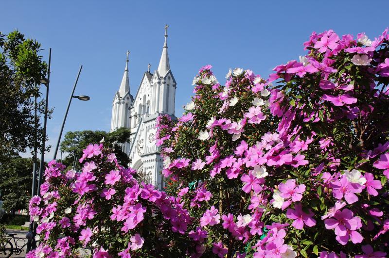 Canteiros de Itajaí vão receber mais de 100 mil mudas de flores