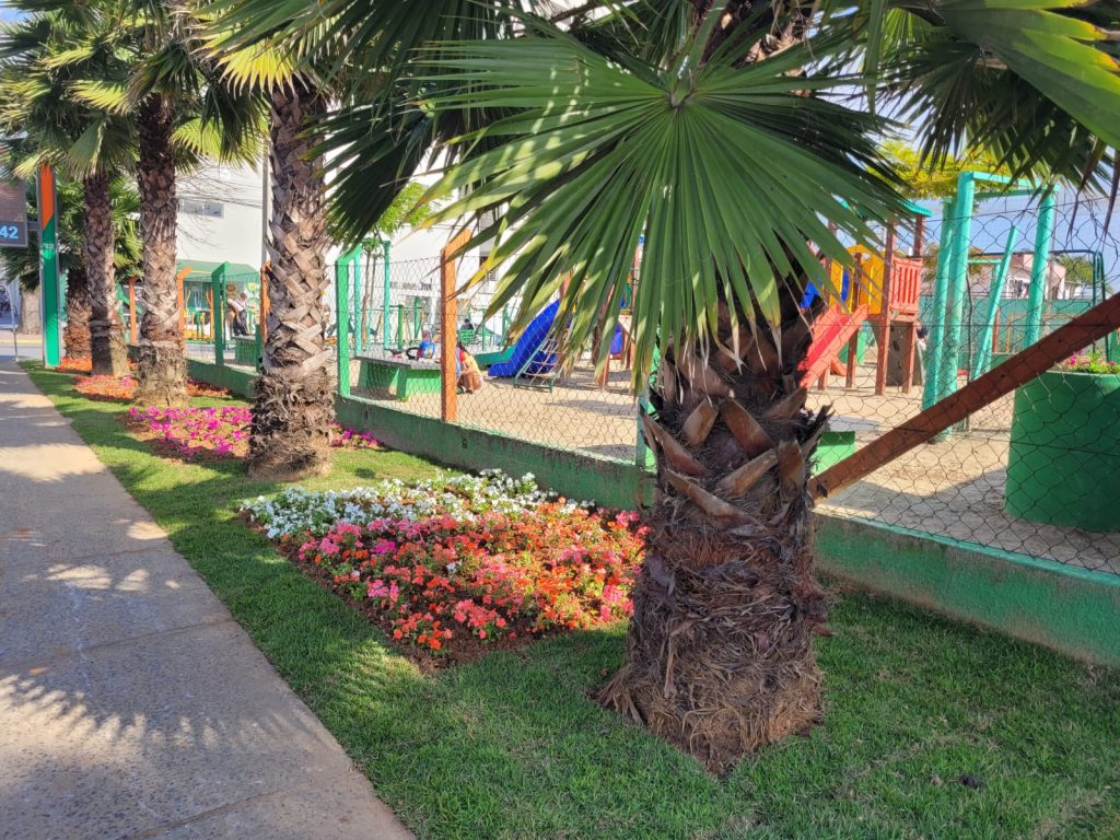Camboriú realiza o plantio de 30 mil mudas de flores