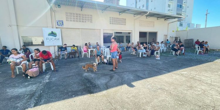 Conde de Vila Verde receberá mutirão de castração
