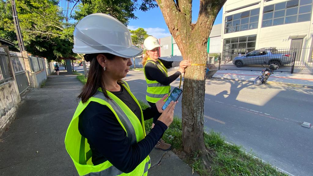 Diagnóstico identifica mais de 11 mil árvores na área urbana de BC