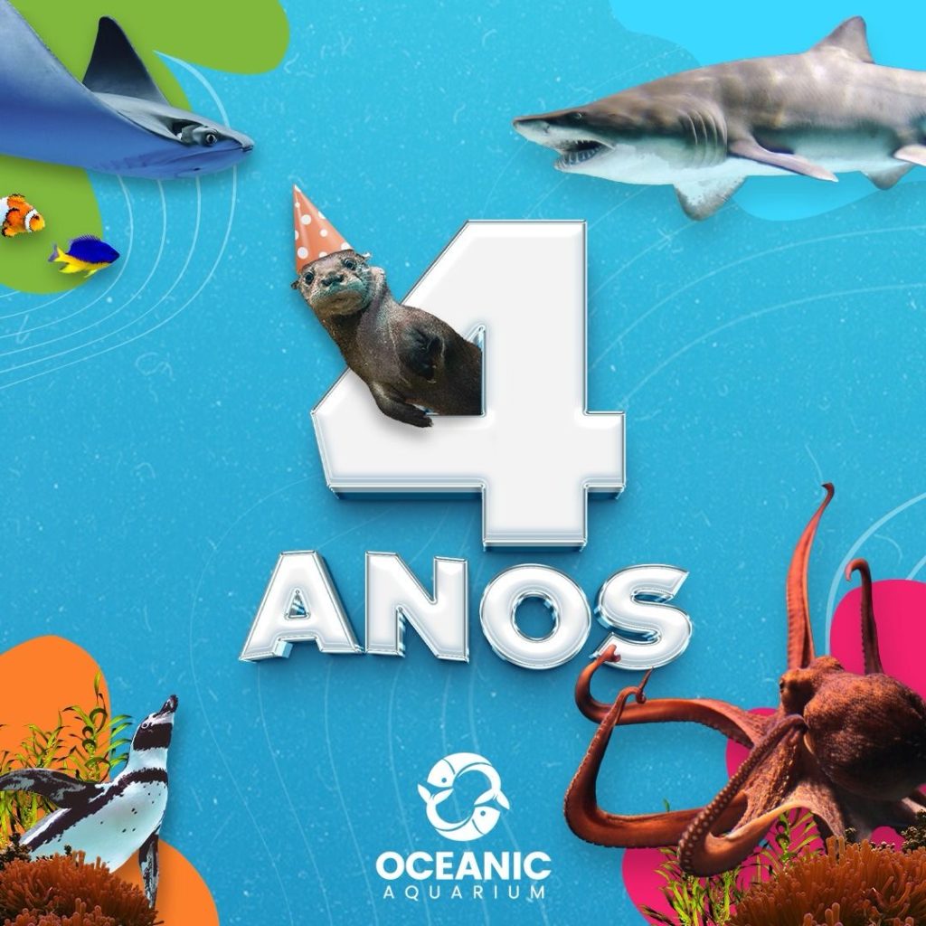 Oceanic Aquarium faz 4 anos e traz novos habitats e espécies