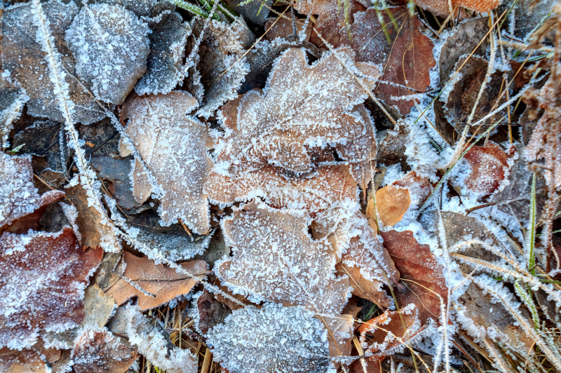 Inverno chega a Santa Catarina com onda de frio e temperaturas próximas de zero grau