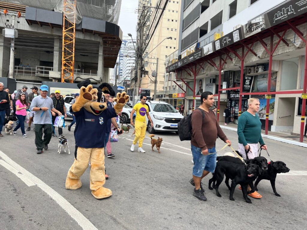 16ª Cãominhada acontece neste sábado em Balneário Camboriú com arrecadação de ração e cobertores
